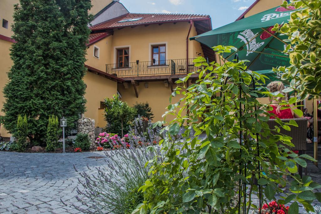 Pension Viktorin Подебрады Экстерьер фото
